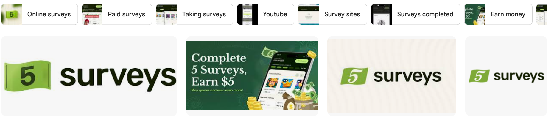 5 Surveys